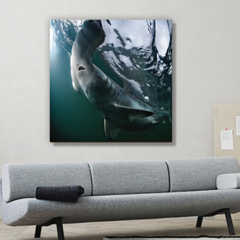 Πίνακας σε καμβά με Ζώα με καρχαρία